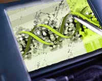 Nanotechnology To Provide Portable Genetic Risk Detection