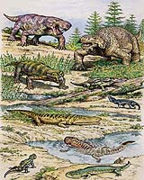 Super Predators And Mass Extinctions