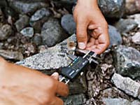 Ohio and Maine Geologists Use Lichens To Track Recent Climate Changes in New Zealand