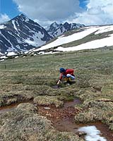 Colorado Researchers Hunting Down, Studying New Microorganisms
