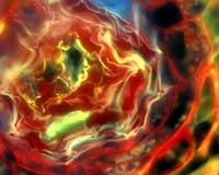 Biologists Discover New Pathway Into Cells