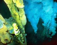 New Hydrothermal Vents Discovered As South Pacific Odyssey Research Begins