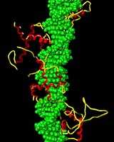 New Technique Helps Identify Multiple DNA Regulatory Sites