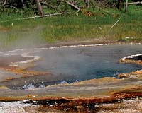 Hot Springs Microbes Hold Key To Dating Sedimentary Rocks