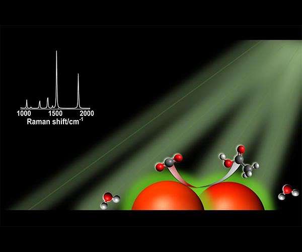 Light-harvesting nanoparticle catalysts show promise in quest for renewable carbon-based fuels