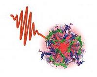 Harvesting light, the single-molecule way