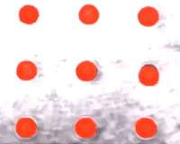 Microscopic 'sunflowers' for better solar panels