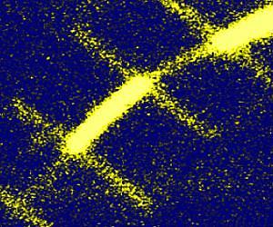 Engineers use plasmonics to create an invisible photodetector