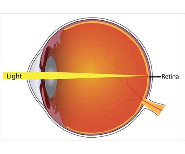 Vision scientists discover new angle on path of light through photoreceptors