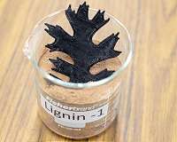 New composite advances lignin as a renewable 3D printing material