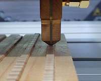 Trees and climate change: Faster growth, lighter wood