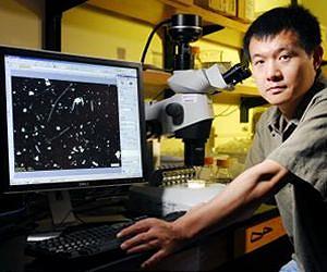 New study supports Darwin's hypothesis on competition between species