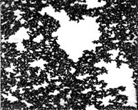 Theory Explains Mysterious Nature Of Glass