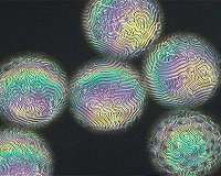 Penn researchers demonstrate how to control liquid crystal patterns