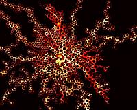 Study reveals new physics of how fluids flow in porous media