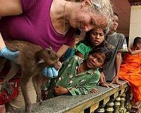 Monkeys in Asia harbor virus from humans, other species