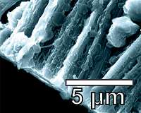 Scientists take step toward safer batteries by trimming lithium branches
