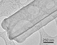 A new method to study lithium dendrites could lead to better, safer batteries
