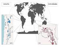 Scenario 2050: Lithium and Cobalt might not suffice