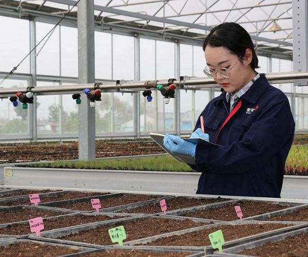 Space seeds take root in Inner Mongolia
