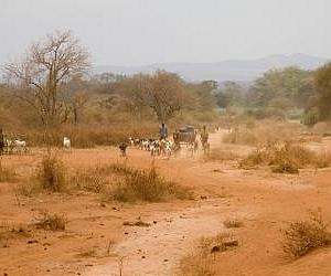 SATADSL To Market SES Broadband In Sub-Saharan Africa