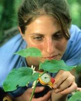 Diverse Tropical Forests Defy Metabolic Ecology Models