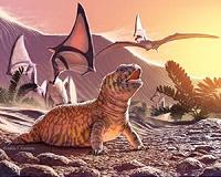 Lizard Fossil Overturn Hypothesis Of Lizard Evolution