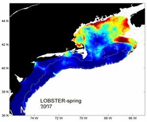 Movement of marine life follows speed and direction of climate change