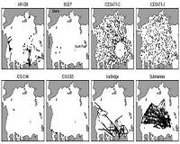 Combined Arctic ice observations show decades of loss