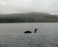 Reporter films China's own Loch Ness monster