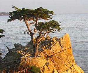 Earth history and evolution