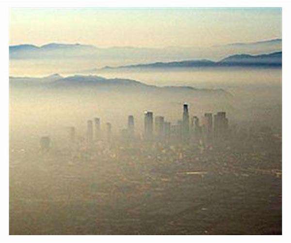 Smog a major buzzkill for insect mating