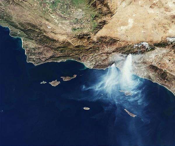 Red herring: Why Trump wrongly blames a fish for LA wildfires