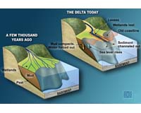 New Study Fuels Louisiana Subsidence Controversy