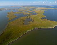 As sea level rises, wetlands crank up their carbon storage