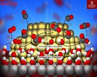 Decoding the role of water in gold nanocatalysis