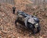 U.S. Marine Corps rules out robotic dog, mule