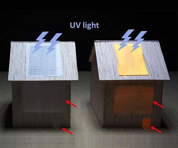 Luminescent wood could light up homes of the future