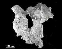 The toxic side of the Moon