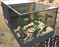 Lunar Gardening - A Greenhouse On The Moon By 2014