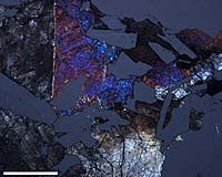 New Lunar Meteorite Found In Antarctica