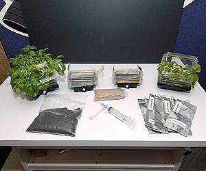 Moon gardens: NASA to sow first seeds of future habitat