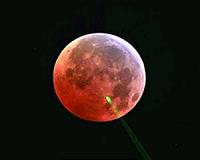Lunar eclipse in the UK morning sky