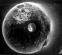 Ancient Impacts Created Man In The Moon