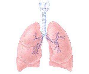 Nickel nanoparticles may contribute to lung cancer