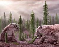 Rainforest collapse 307 million years ago impacted the evolution of early land vertebrates