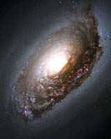 An Abrasive Collision Gives One Galaxy A Black Eye
