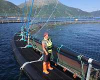 Biorobotics is the future of fish farming