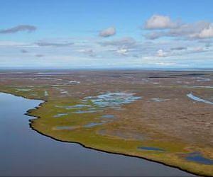 Ecological impact on Canada's Arctic coastline linked to climate change