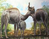 Protein sequencing solves Darwinian mystery of 'strange' South American mammals